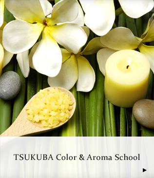 TSUKUBA Color & Aroma School